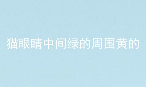 猫眼睛中间绿的周围黄的