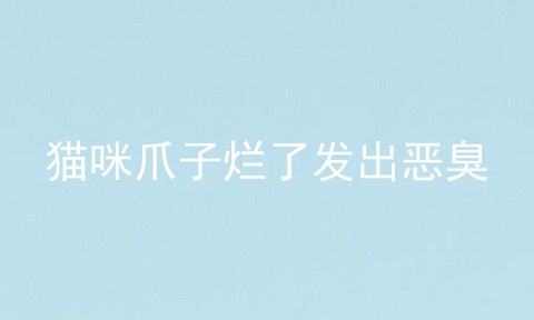 猫咪爪子烂了发出恶臭