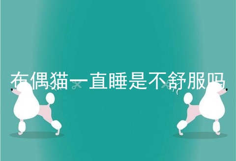 布偶猫一直睡是不舒服吗
