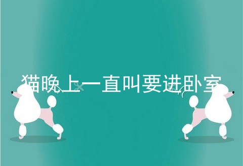猫晚上一直叫要进卧室