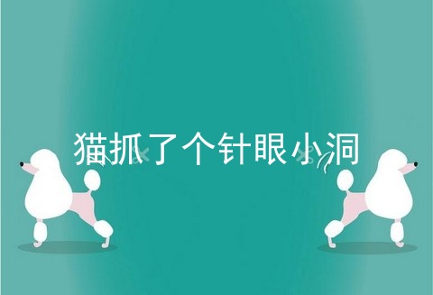 猫抓了个针眼小洞