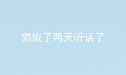 猫饿了两天听话了