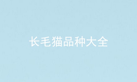 长毛猫品种大全