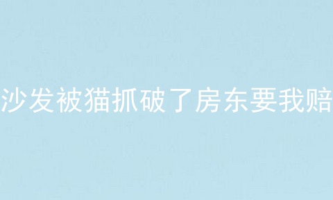 沙发被猫抓破了房东要我赔