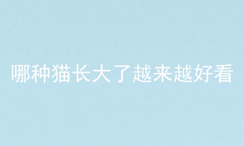 哪种猫长大了越来越好看