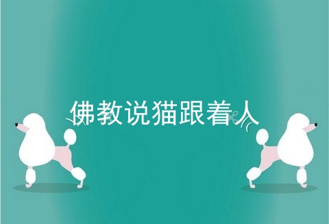 佛教说猫跟着人