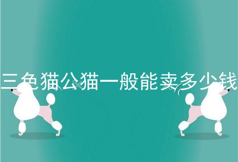 三色猫公猫一般能卖多少钱