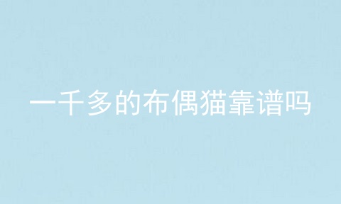 一千多的布偶猫靠谱吗