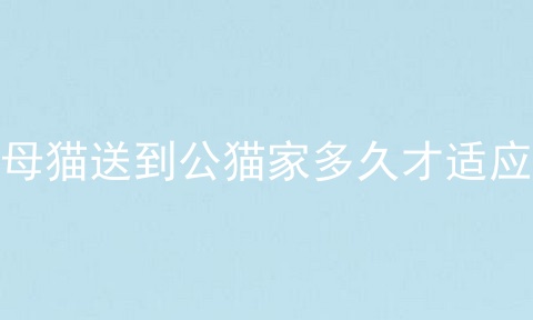 母猫送到公猫家多久才适应