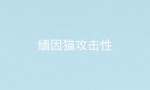 缅因猫攻击性