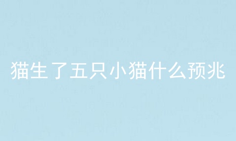 猫生了五只小猫什么预兆