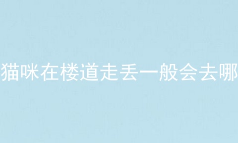 猫咪在楼道走丢一般会去哪