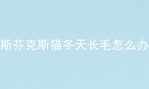 斯芬克斯猫冬天长毛怎么办