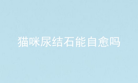 猫咪尿结石能自愈吗
