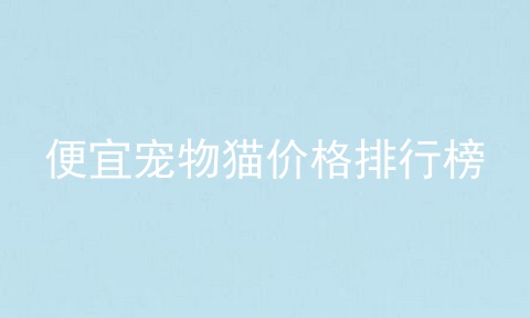 便宜宠物猫价格排行榜