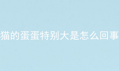 猫的蛋蛋特别大是怎么回事