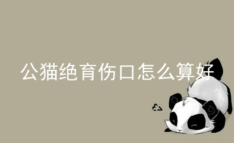 公猫绝育伤口怎么算好