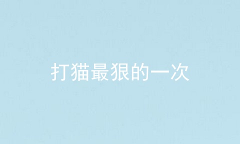 打猫最狠的一次