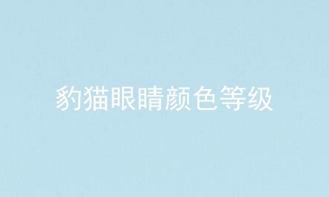 豹猫眼睛颜色等级