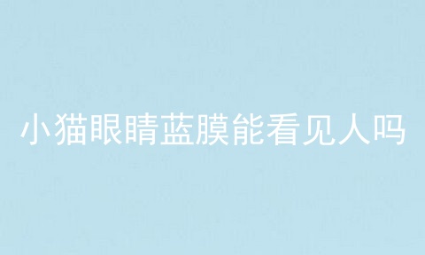 小猫眼睛蓝膜能看见人吗