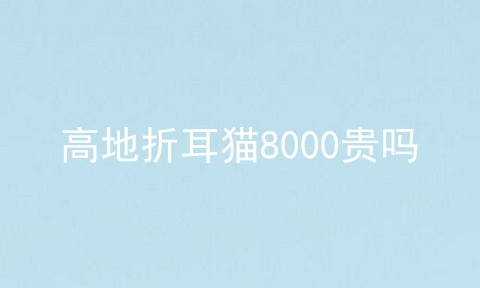 高地折耳猫8000贵吗