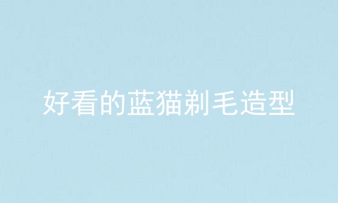 好看的蓝猫剃毛造型