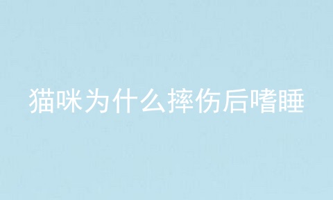 猫咪为什么摔伤后嗜睡