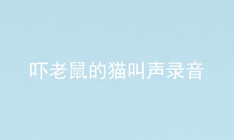 吓老鼠的猫叫声录音