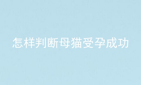 怎样判断母猫受孕成功