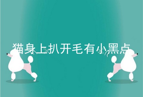 猫身上扒开毛有小黑点