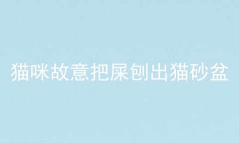 猫咪故意把屎刨出猫砂盆