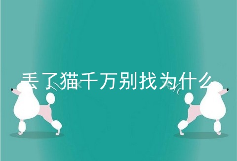 丢了猫千万别找为什么