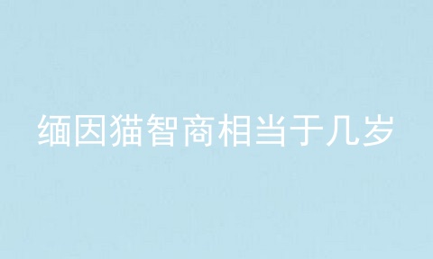 缅因猫智商相当于几岁