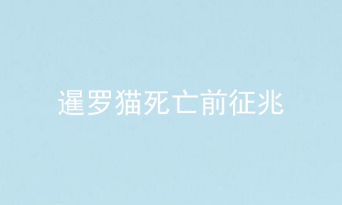 暹罗猫死亡前征兆