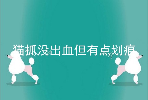 猫抓没出血但有点划痕