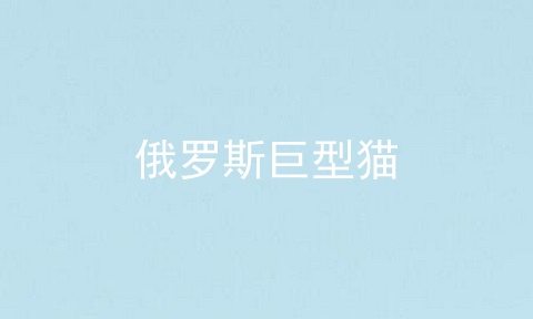 俄罗斯巨型猫