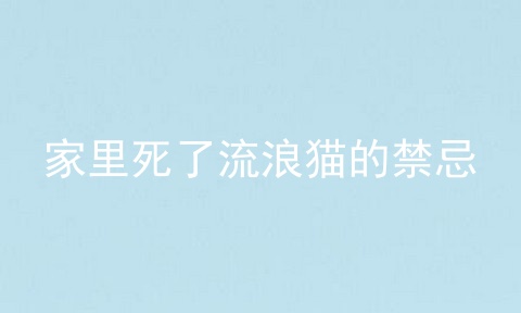 家里死了流浪猫的禁忌