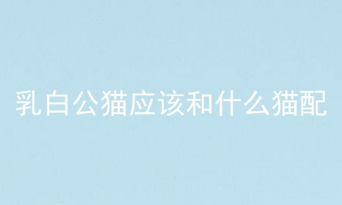 乳白公猫应该和什么猫配