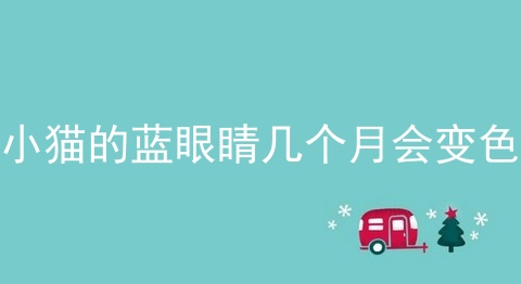 小猫的蓝眼睛几个月会变色
