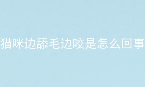 猫咪边舔毛边咬是怎么回事