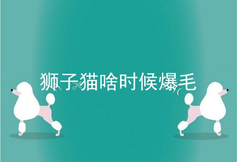 狮子猫啥时候爆毛