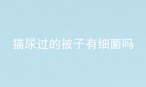 猫尿过的被子有细菌吗