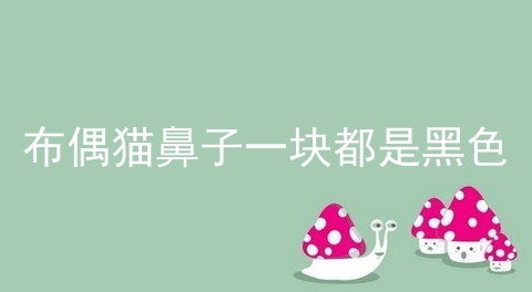 布偶猫鼻子一块都是黑色