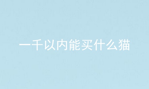 一千以内能买什么猫