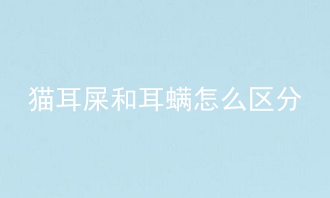 猫耳屎和耳螨怎么区分
