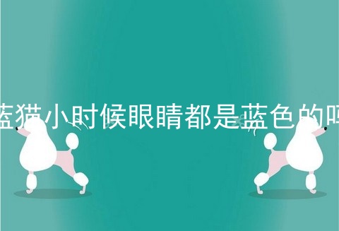 蓝猫小时候眼睛都是蓝色的吗