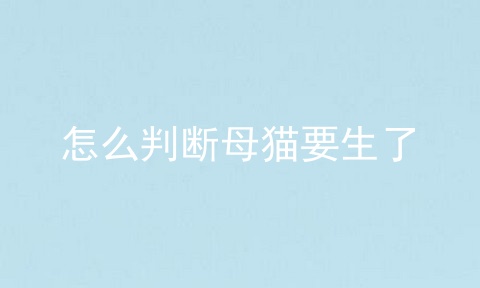 怎么判断母猫要生了