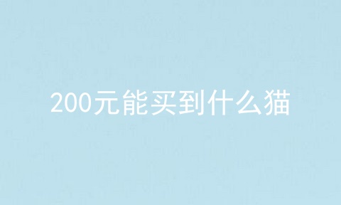 200元能买到什么猫