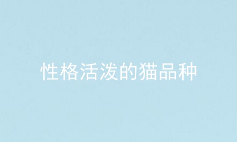 性格活泼的猫品种