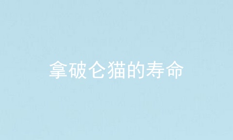 拿破仑猫的寿命